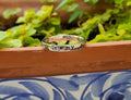 Sterling Silver Engraved 